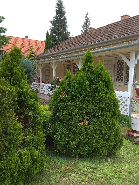 Batthyány utca 36