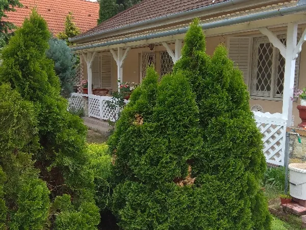 Batthyány utca 36