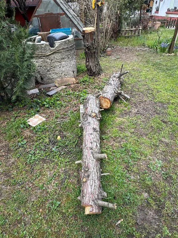 fűtéshez rönkfa