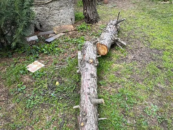 fűtéshez rönkfa